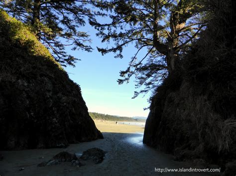 Best Beaches on Vancouver Island