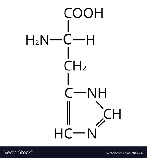 Amino acid histidine chemical molecular formula Vector Image