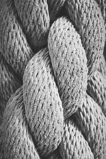 Rope, texture, black & white, zoom by Tina Eanes. Photo stock - StudioNow