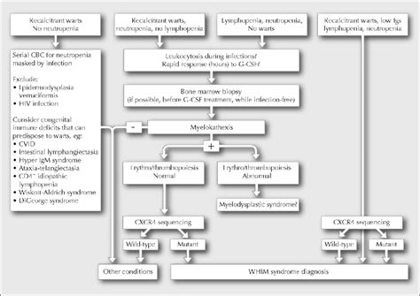 Diagnostic flowchart. A suggested approach if considering the diagnosis... | Download Scientific ...