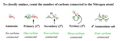 Primary Secondary Tertiary in Organic Chemistry