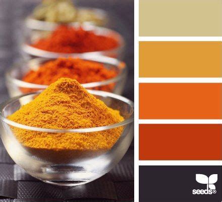 Indian spices | Design seeds, Seeds color, Color schemes