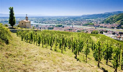 Discover the Diverse and Exciting Rhône Valley Wine Region | WineTourism.com