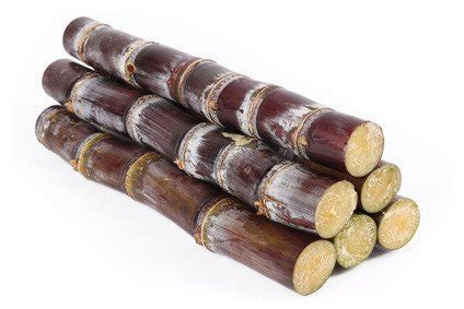 Fresh Purple Sugarcane Sticks (7lbs) : Amazon.in: Grocery & Gourmet Foods