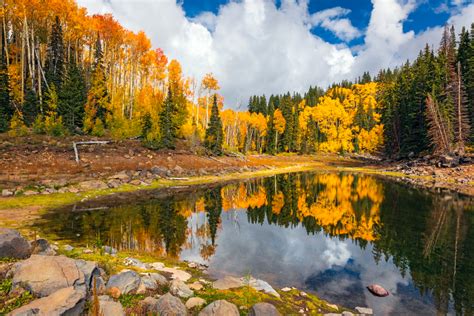 Beautiful Fall Colors of the Grand Mesa | Mesa County