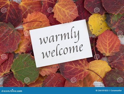 Warmly welcome stock image. Image of board, beautiful - 266181833