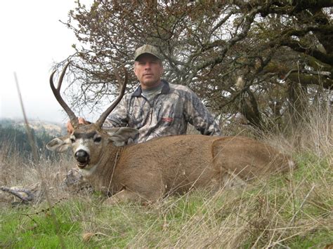 Management Deer Hunts | Blacktail Deer Hunting California