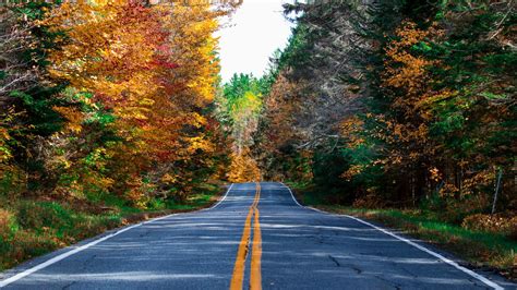 Beautiful Road Between Colorful Autumn Leaves Trees Forest During ...