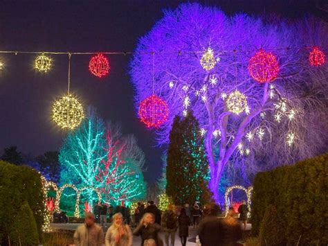 Longwood Gardens Named USA Today's 'Best Botanical Lights' | West Chester, PA Patch