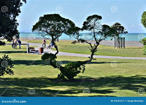 Napier Beachfront stock image. Image of vacation, travel - 47641417