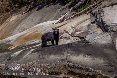 Broughton Archipelago Provincial Marine Park - Vancouver Island View