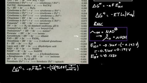 Biochemical Cell Potentials: Example 1 - YouTube