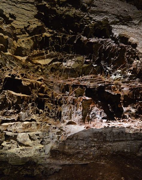 Wind Cave National Park | National Park Foundation