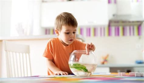 12 Best Fish Tank For Kids Reviews Of 2021 Parents Should Consider