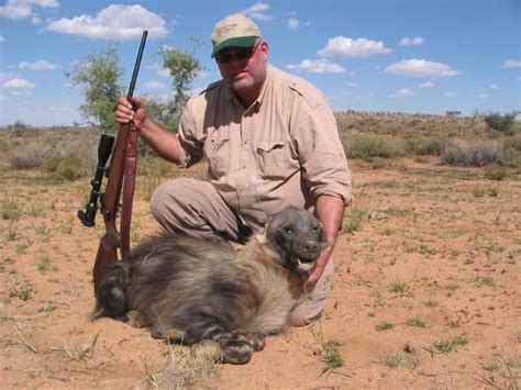 Brown Hyena | Namibia Safari Corporation