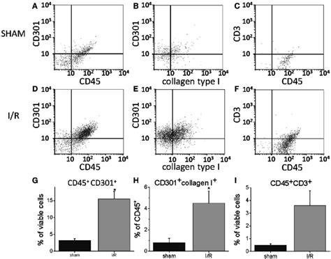 | Flow cytometry for the indicated markers on cells harvested from... | Download Scientific Diagram