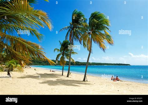 Sun Bay Beach on Vieques Island Puerto Rico Caribbean Stock Photo - Alamy