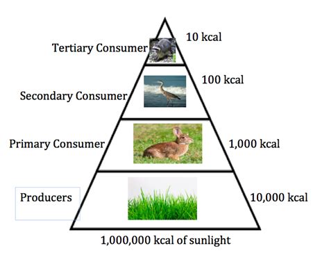 Energy Pyramid - Desert