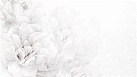 White floral desktop wallpaper, aesthetic | Premium Photo - rawpixel