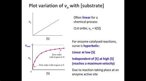 Biochemistry 9.2: Enzyme kinetics part 1 - YouTube