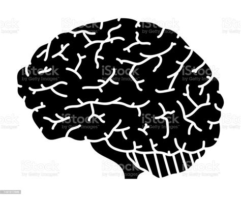 Human Brain Isolated Vector Silhouette Stock Illustration - Download Image Now - Anatomy ...