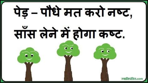 Pin by rajiv chaudhary agrawal on Tree पेड़ water greeneryRC INDIA ...