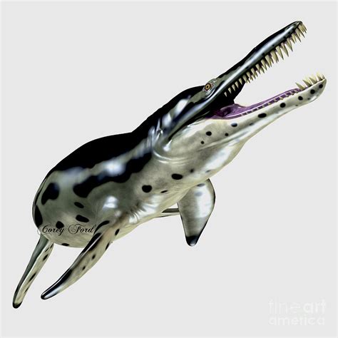 Kronosaurus over White Painting by Corey Ford | Fine Art America