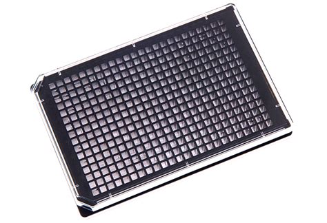 384-Well Glass Bottom Plates SuperStreptavidin - Microplate Microarray Biotin Biotinylated Printing