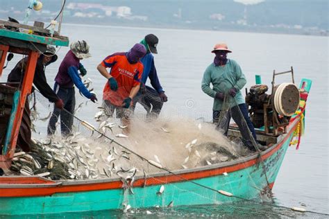 On the Fisherman Boat, Catching Many Fish Editorial Stock Image - Image of culture, catching ...