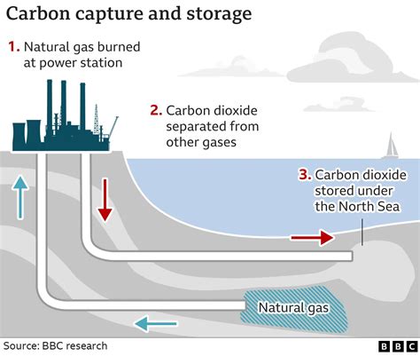 What is carbon capture and how does it fight climate change?