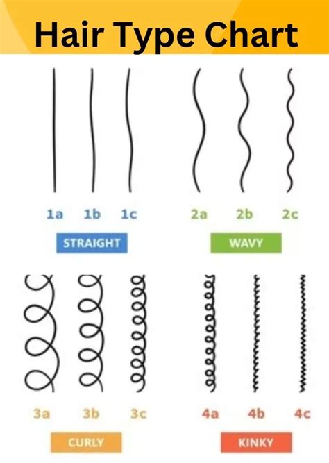 Hair Type Chart | Hair type chart, Hair chart, Curly hair types