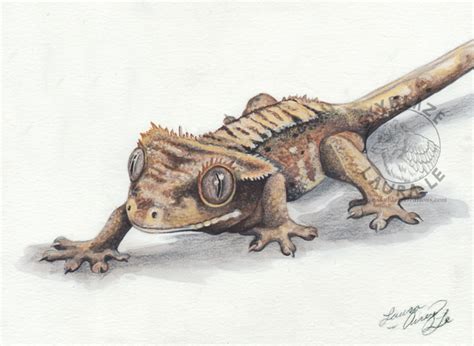 Little Crested Gecko by MorRokko on DeviantArt