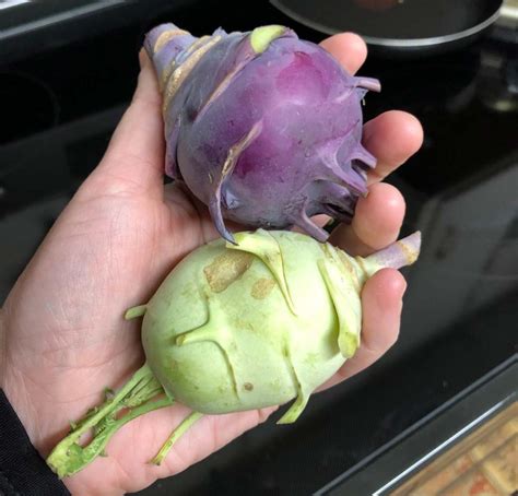 Unusual Vegetable: Kohlrabi - Madlantern Arts