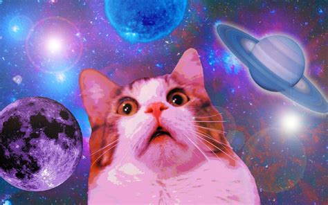 space-cat-wallpapers-for-iphone-For-Desktop-Wallpaper - Colour Youth