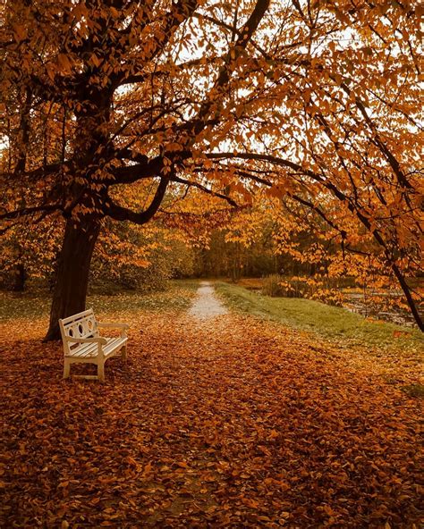 Cozy Autumn Moments » Arthatravel.com