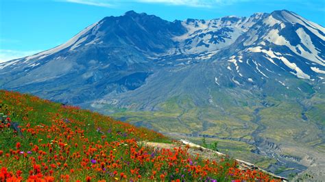 After Mount St. Helens erupted, scientists fought to preserve its devastation