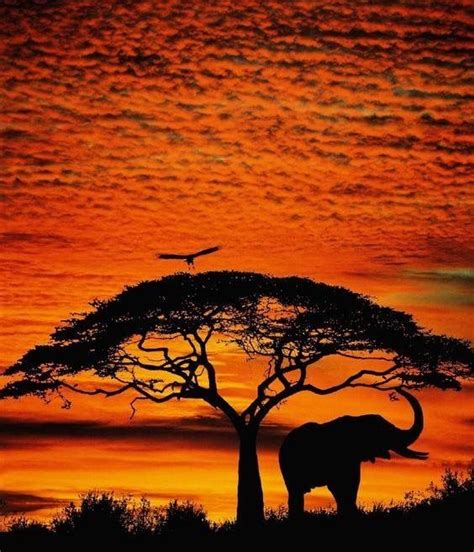 Elephant silhouette | African skies, African sunset, Elephant love