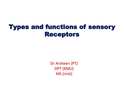 SOLUTION: Types and function of sensory receptors - Studypool