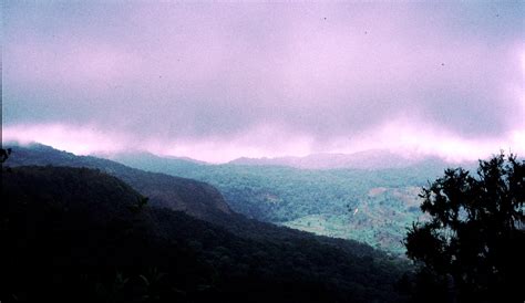 Humboldt's climate change vision in the African mountains | Ecology ...