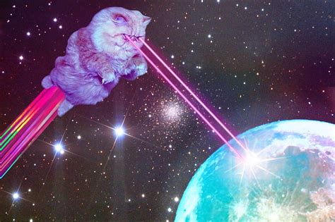 Gatos en el espacio con ojos láser, gatos espaciales fondo de pantalla ...