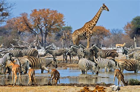 Reisebüro Hartmann | Namibia