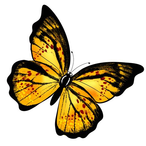 Monarch Butterfly PNG Transparent Images - PNG All