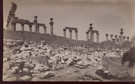 Expedition Magazine | Palmyra 1885