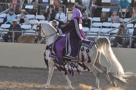 352.JPG (1600×1063) | Arabian horse costume, Horse costumes, Horses