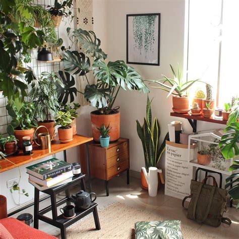 10 Houseplant Lovers to Follow on Instagram | Retro home decor, Plants ...