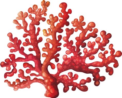 Coral Coral Reef Clipart Hd Png Download Kindpng - vrogue.co