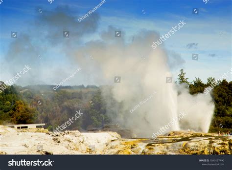 Pohutu Prince Wales Geysers Whakarewarewa Thermal Stock Photo ...