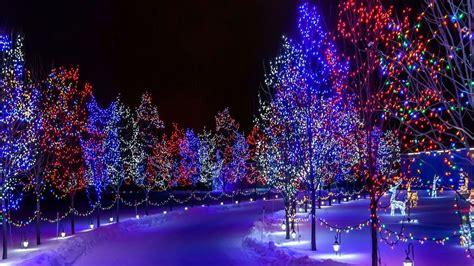 Christmas Lights Wallpaper (66+ pictures) - WallpaperSet