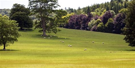 South Downs National Park Facts & Information - Beautiful World Travel Guide