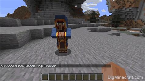 How to Summon a Wandering Trader in Minecraft